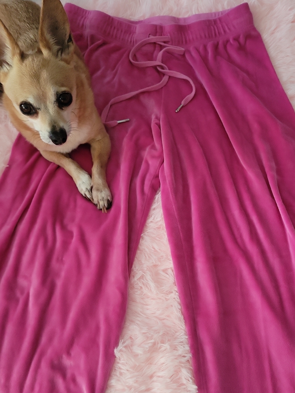 Juicy Couture Wide Leg Velvet Track Pants in Hot Pink